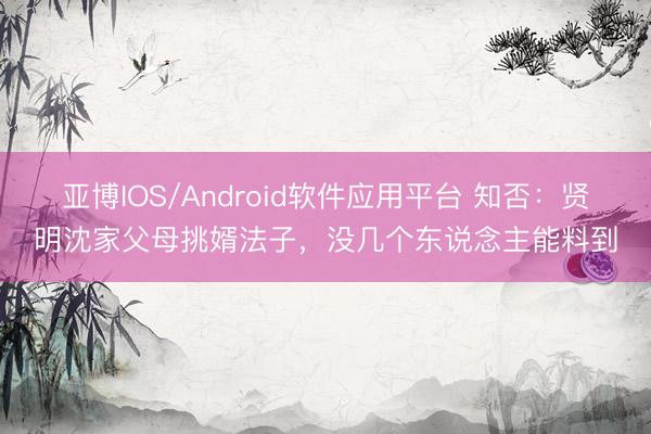 亚博IOS/Android软件应用平台 知否:贤明沈家父母挑婿法子,没几个东说念主能料到