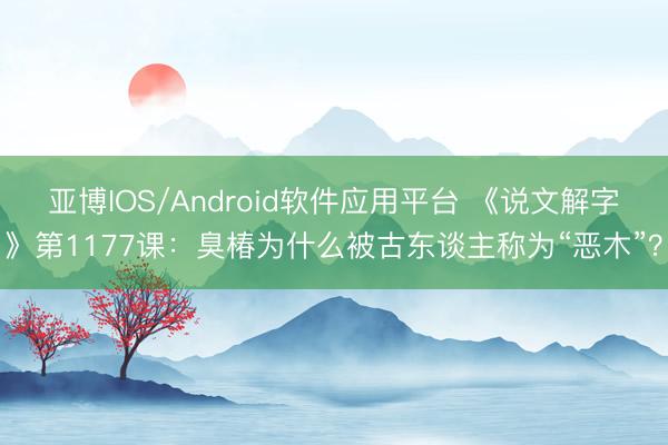 亚博IOS/Android软件应用平台 《说文解字》第1177课：臭椿为什么被古东谈主称为“恶木”？