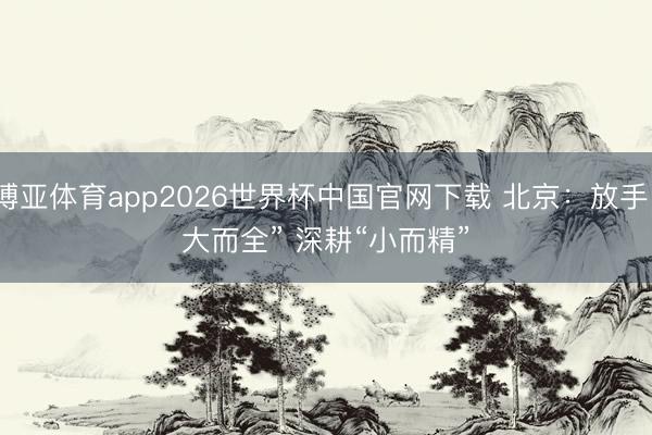 博亚体育app2026世界杯中国官网下载 北京：放手“大而全” 深耕“小而精”