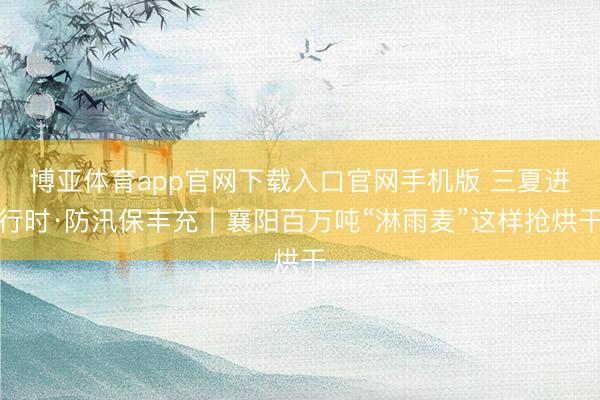 博亚体育app官网下载入口官网手机版 三夏进行时·防汛保丰充｜襄阳百万吨“淋雨麦”这样抢烘干