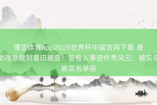 博亚体育app2026世界杯中国官网下载 康佳原助理总裁刘喜田被查！曾卷入事迹作秀风云，被实名举报