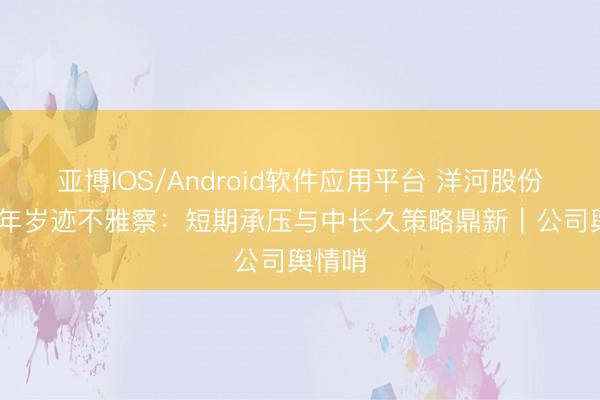 亚博IOS/Android软件应用平台 洋河股份2025年岁迹不雅察:短期承压与中长久策略鼎新|公司舆情哨